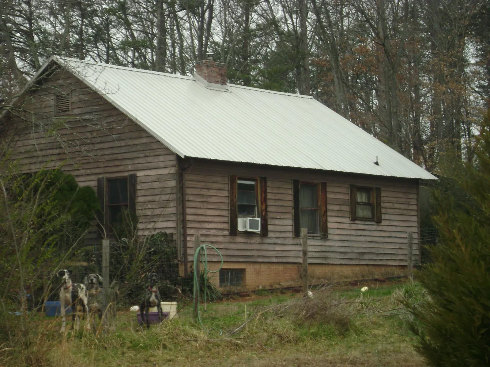 White metal roof on an old wood sided farmhouse, from a Asphalt Shingle Roof Repair job in Hortense